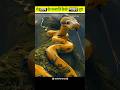 titanoboa saamp 🐍🤯😱।। दुनियां का सबसे बड़ा सांप 😱। #shorts #shortvideo #facts