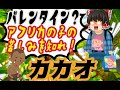 【ゆっくり植物史解説】バレンタインデーの光と闇　カカオの歴史