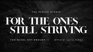Too Much, Not Enough - The Sealed Strays | Official Lyric Video