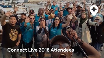 Meet the Connect Live 2018 Attendees - Google Local Guides