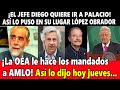 ¡Enloquece el jefe Diego! Exige hablar con AMLO en Palacio Nacional. ¡Así lo puso en su lugar AMLO!