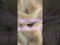 Eid El FiTr Greeting In Arabic Arabic Shortsvideo Eid El FiTr Greeting In Arabic Arabic Shortsvideo
