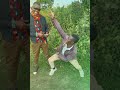 Kula Bata Kula Bata
