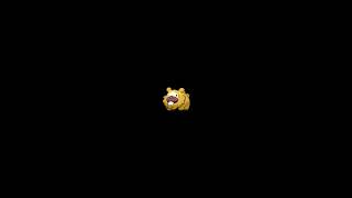 bidoof.
