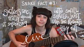 POV snake song and monologue (Track 3 from Snake Facts EP) (Live)