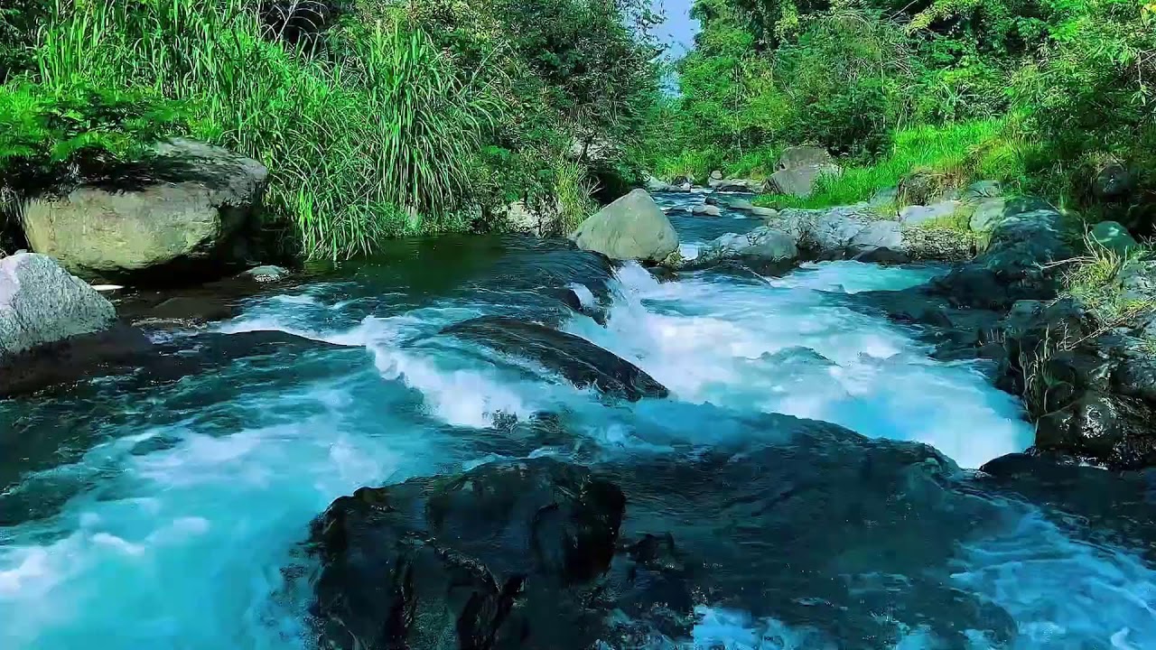 Forest River Continuous Flow, Mountain Stream Audio, Sleep