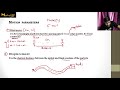 Motion in a Straight Line Part-1 | Physics for NEET | 11th Class Physics #neetphysicslectures