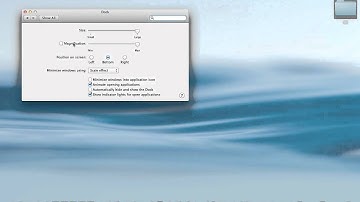 How To Customize Your Dock on a Mac (Size, Animation, and Location)
