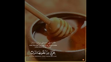 وَأَوْحَىٰ رَبُّكَ إِلَى النَّحْلِ ، حالات واتس اب، القارئ ادريس ابكر