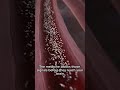 How does a painkiller know exactly where you’re hurting? #protectlife #hiddendangers