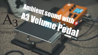 Ambient Sound with A3 Volume Pedal🎸(Feat. HX Stomp)