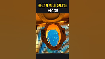 바다가 보이는 변기의 정체
