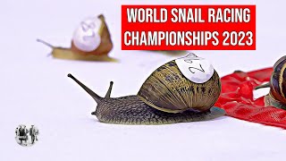 The World Snail Racing Championships - 2023