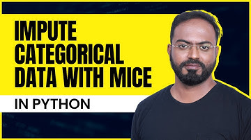 How to impute missing data in categorical features (using MICE)