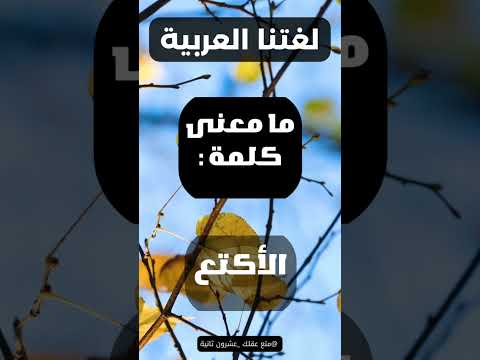 ما معنى كلمة الأكتع
