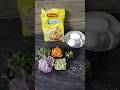 ஒர ம ற இப பட ச ஞ ச ப ர ங க Egg Maggi Recipe In Tamil Muttai Maggi How To Make Maggi Tamil