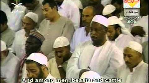 سورة فاطر كاملة من الحرم المكي الشيخ السديس والشريم