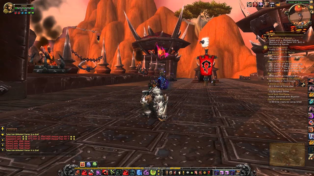 Great Brown Kodo Mount Gameplay