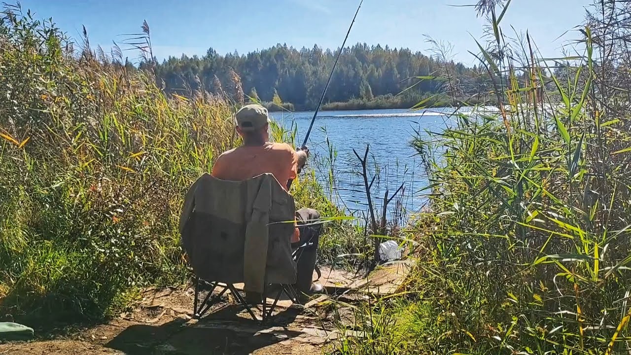 Рыбалка на фидер на торфяном карьере осенью.