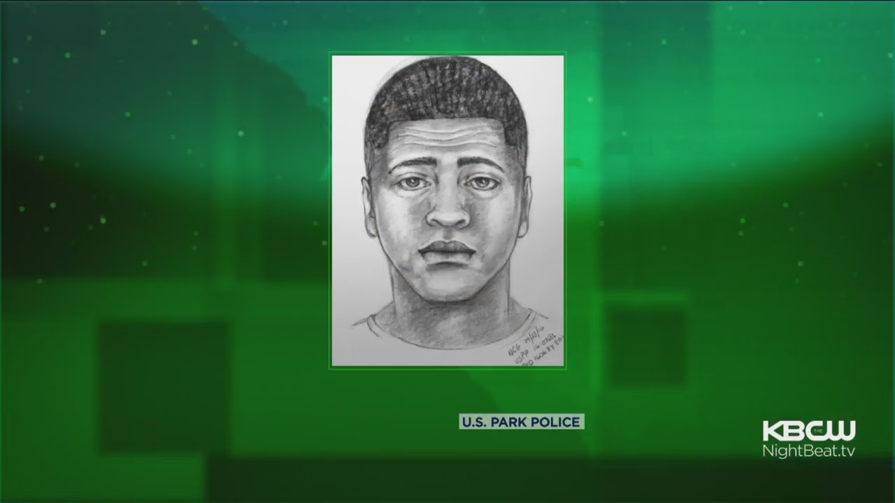 Suspect Sketch Released In San Francisco Pokemon Go Murder