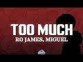 Ro James Too Much Lyrics Ft Miguel mp3