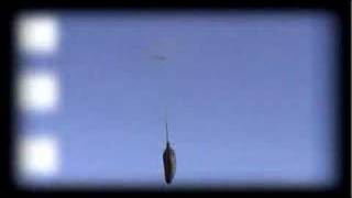 Liberte Elena Perseil