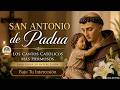 🙏Cantos a San Antonio de Padua | Los Cantos Católicos Más Hermosos Bajo Tu Intercesión