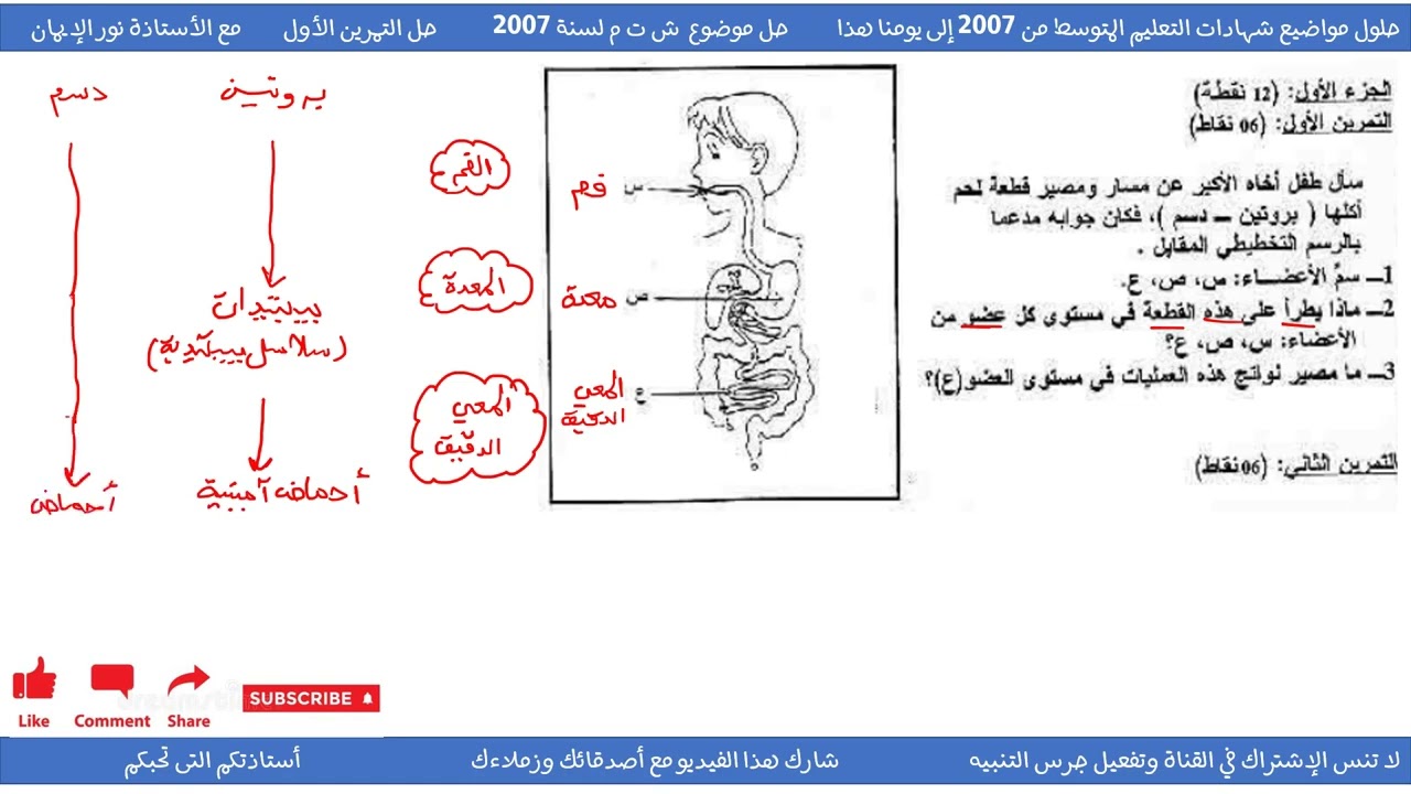 حل تمرين حول تحولات الأغذية خلال الهضم علوم طبيعية سنة 04 متوسط