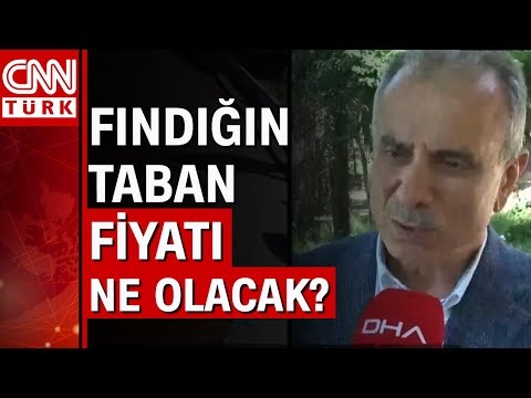 Fındık fiyatları ne kadar olacak?