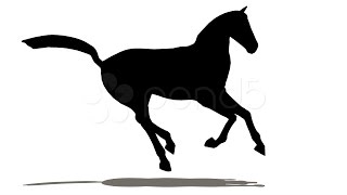 Horse Silhouette. Stock Footage