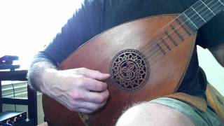 Lute guitar