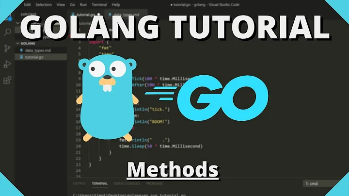 Golang Tutorial #20 - Structs and Custom Types