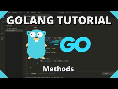 Golang Tutorial #20 - Structs and Custom Types