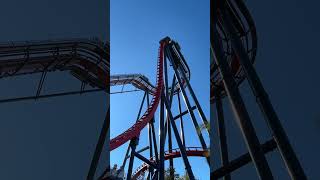 Sheikra At Busch Gardens Tampa