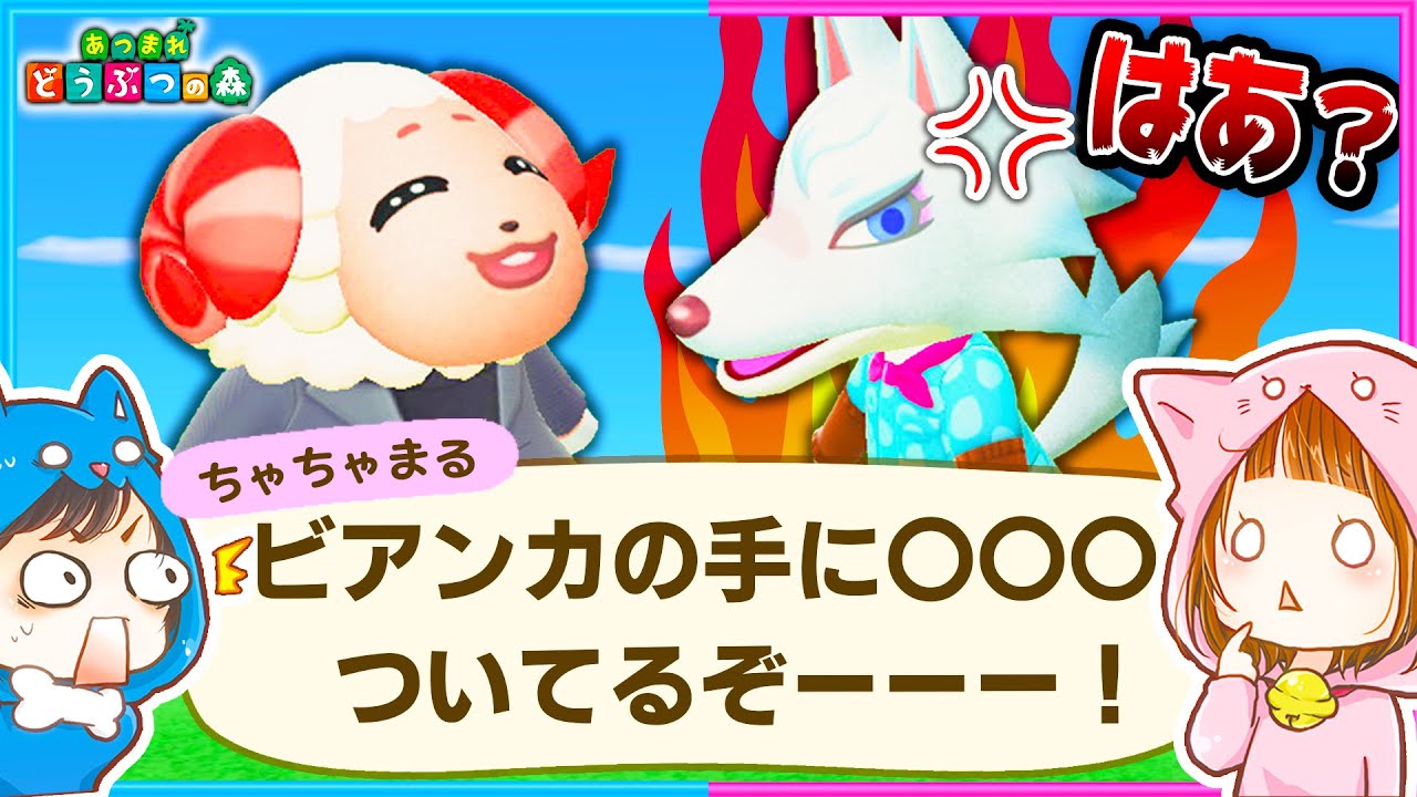 ビアンカとちゃちゃまるが喧嘩しました ちゃちゃまる ビアンカ あつまれどうぶつの森 Animalcrossing Youtube