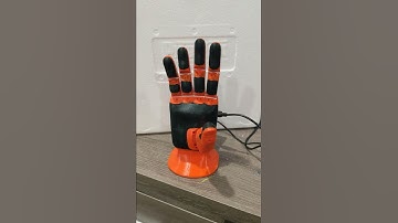 Brunel Hand 2 - Thumb Test