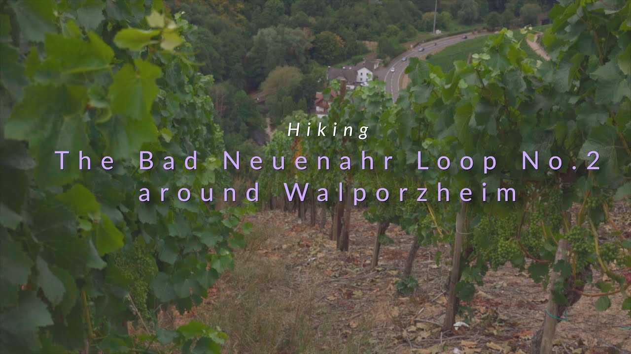 Bad Neuenahr Loop No.2- Hiking in Germany's Ahr valley