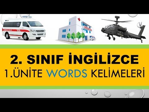 2. Sınıf İngilizce 1. Ünite Words Kelimeleri