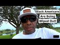WHY MOST BLACK AMERICANS ARE ABOUT TO GET WIPED OUT
