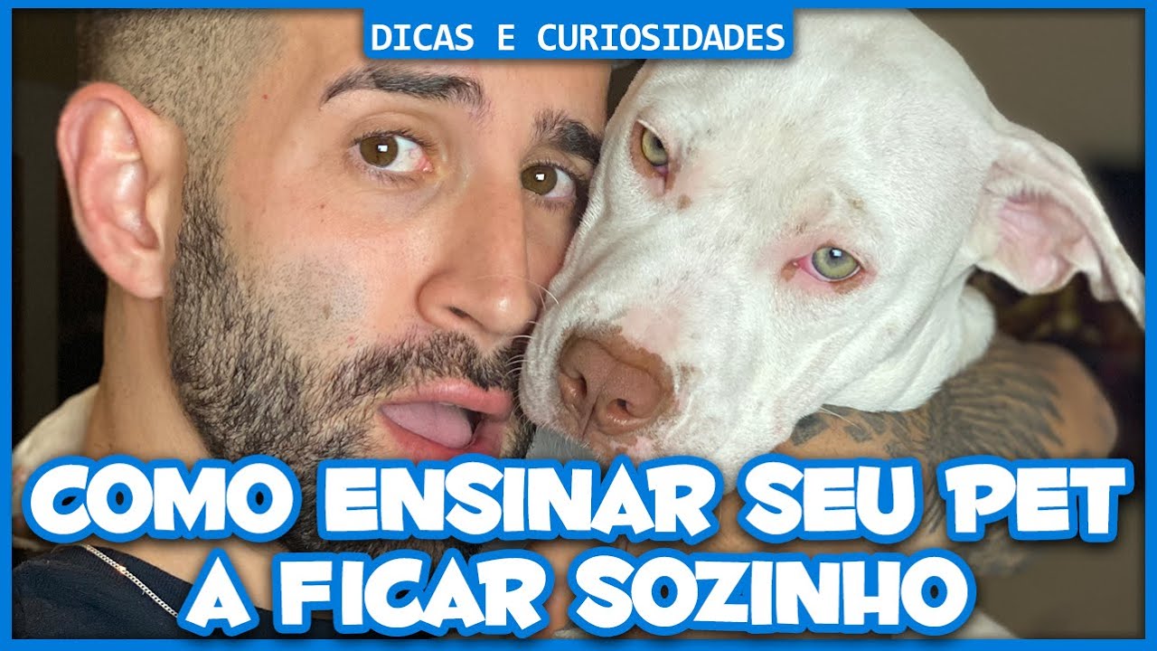 Como ensinar seu cachorro a ficar sozinho Clearance