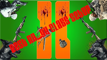 Best AN-94 Class setup - Black Ops 2