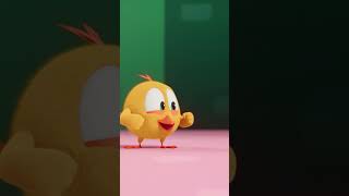 Chicky disappears #chicky | Chicky Cartoon in English for kids