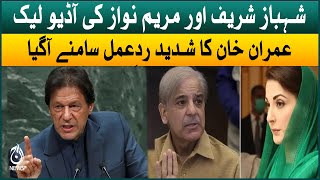 Maryam Nawaz audio leak with Shehbaz Sharif | Imran Khan strong reaction | Aaj News