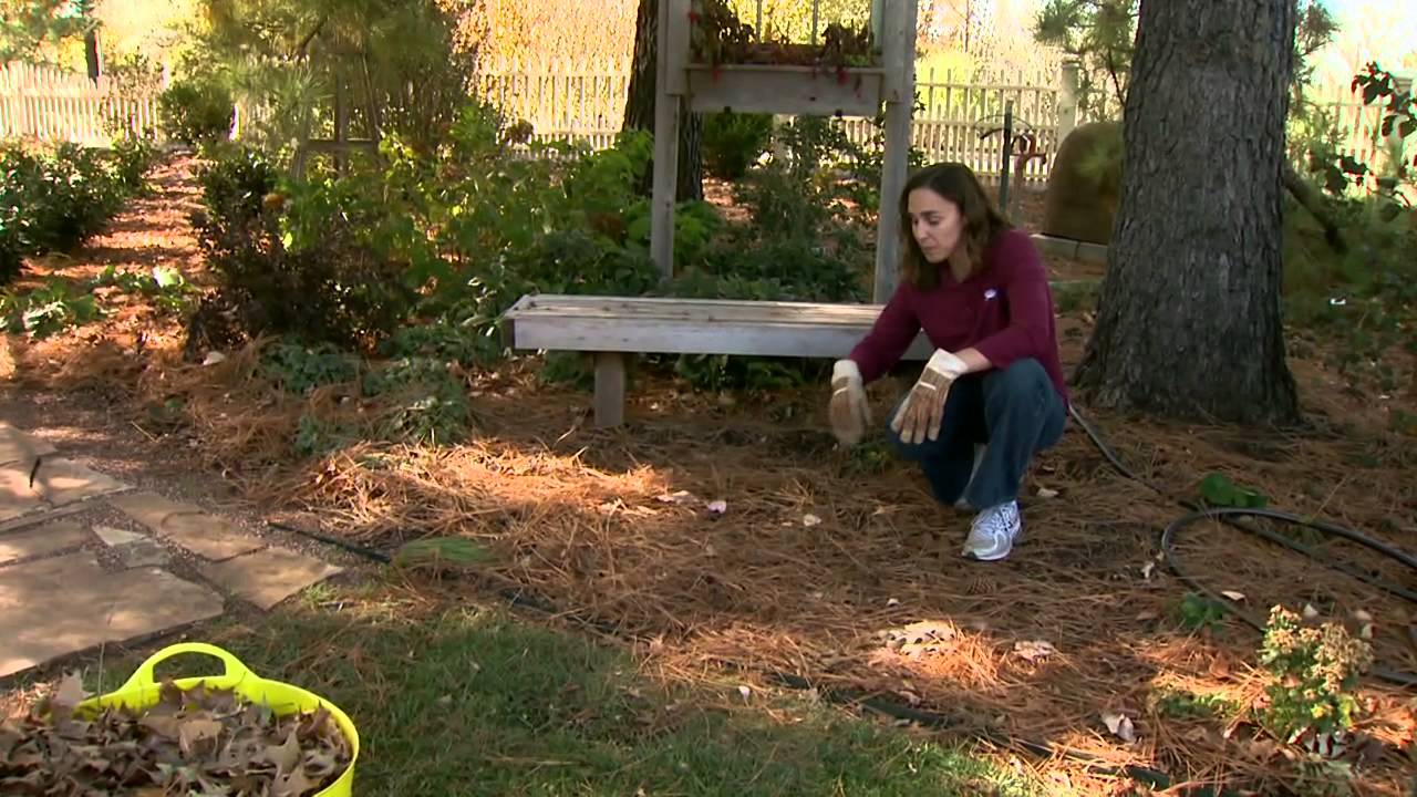 Using Leaf Litter YouTube