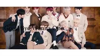 Thank you wanna one and good bye