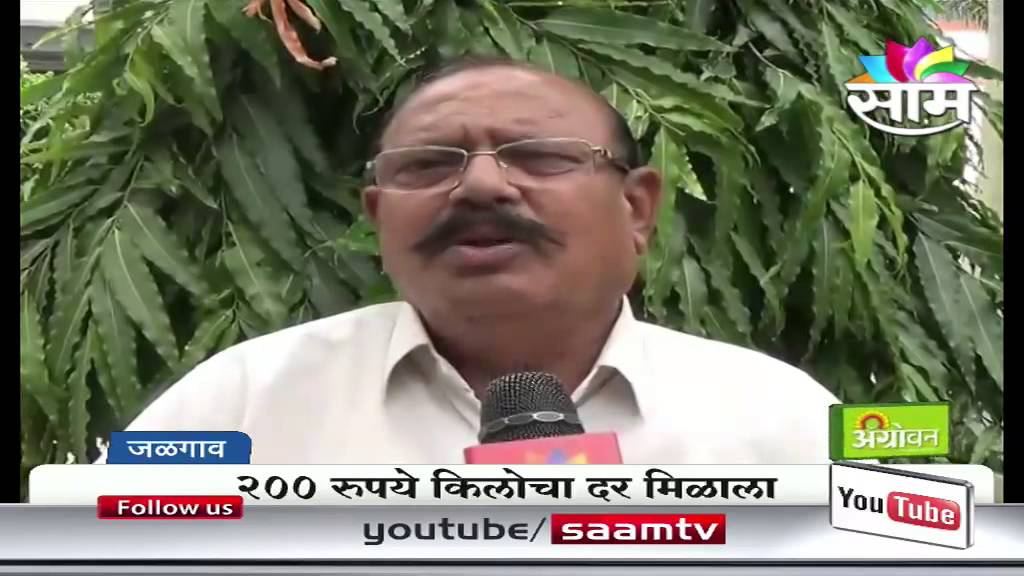 Raghunath Patil's Jambul (Syzygium cumini)success story