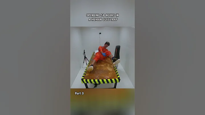 Surviving 50 hours in a human glue trap #gluetrap
