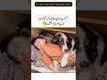 Dogs make children sleep better ❤️ #baby #dog #lovestatus #shorts