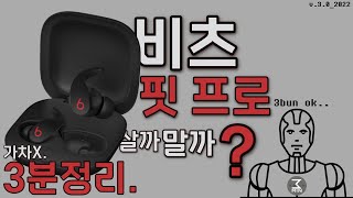 비츠 핏프로 살까말까? 악독한 3분정리.