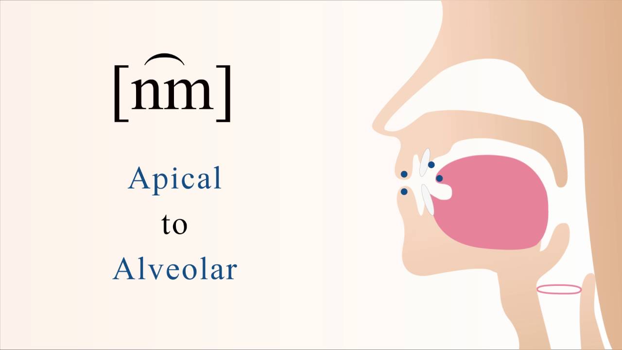 [ n͡m ] voiced labial coarticulated bilabial nasal stop - YouTube